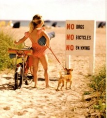 No dogs No bicycles No swimming.jpg